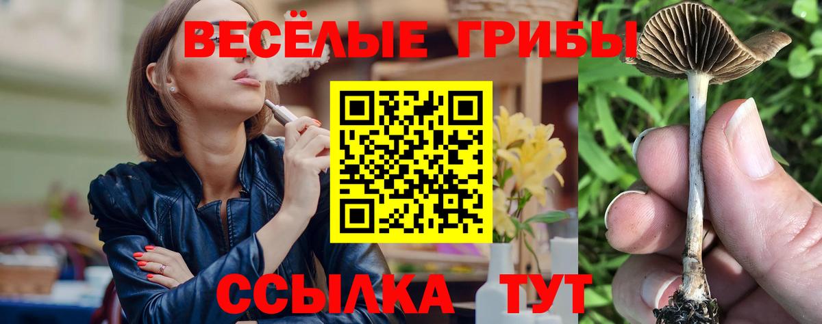 Галлюциногенные грибы Cubensis  Вход с VPN  Ногинск 