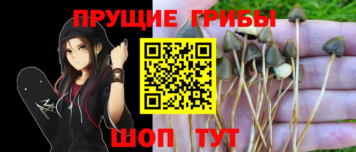 Вейп ТГК  Вход с VPN  Купить наркотики цена  LSD-25  Мефедрон   Меф МЯУ МЯУ  КОКАИН  Ногинск  Гашиш 